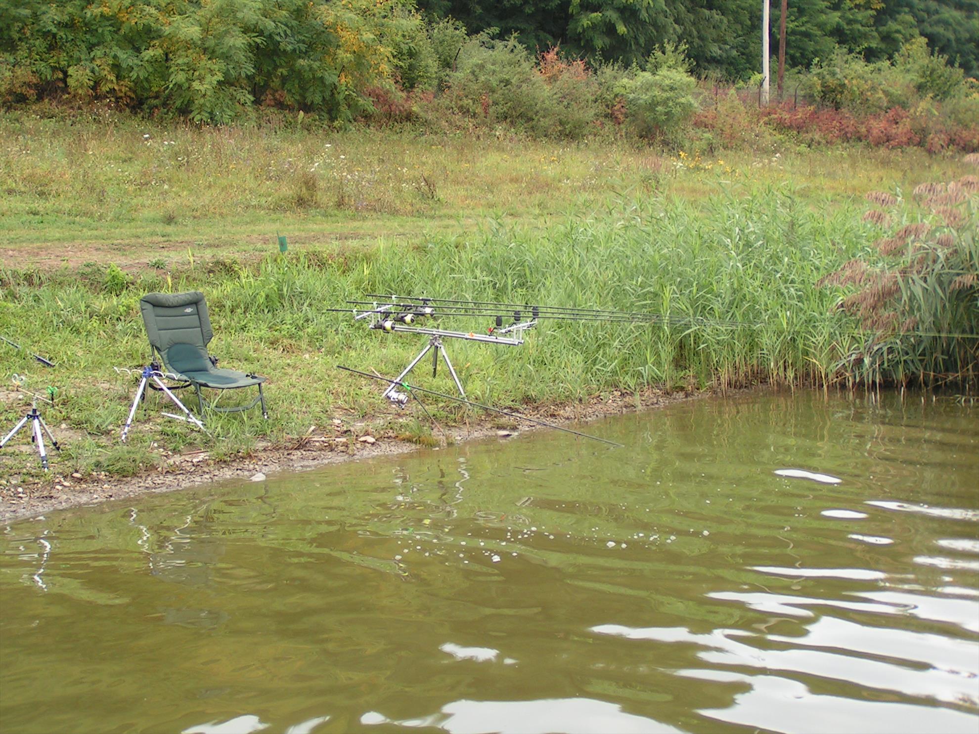 Adunate... - pict0024.JPG